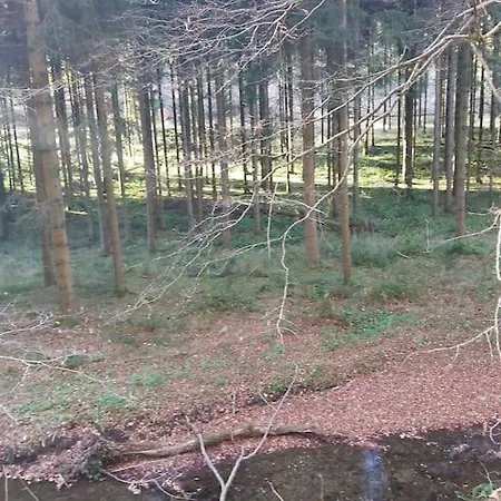 Fewo Elpetalblick