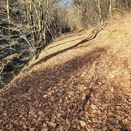 Fewo Elpetalblick