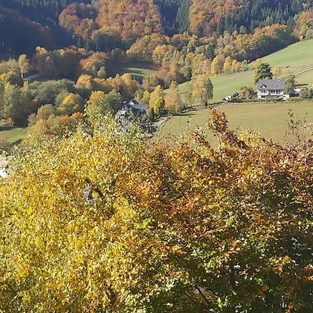 Fewo Elpetalblick Apartment *